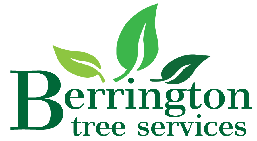 Areas covered - Berrington Tree Services